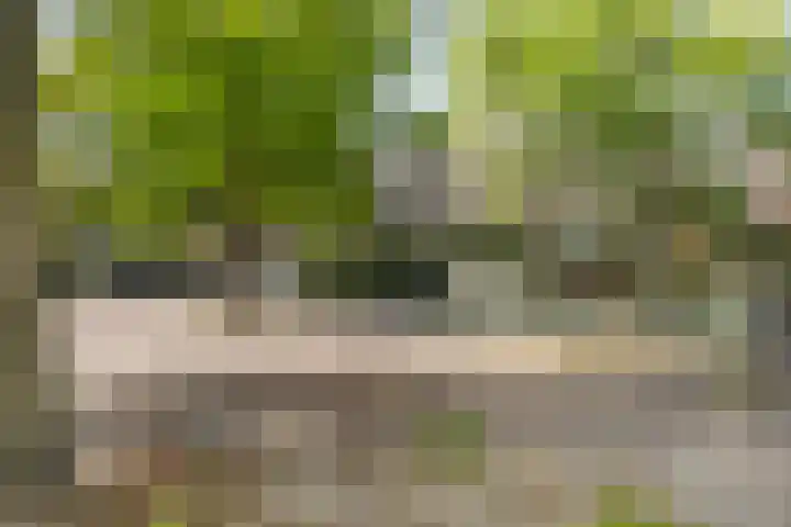 Boniplein 92 Amsterdam thumbnail 34
