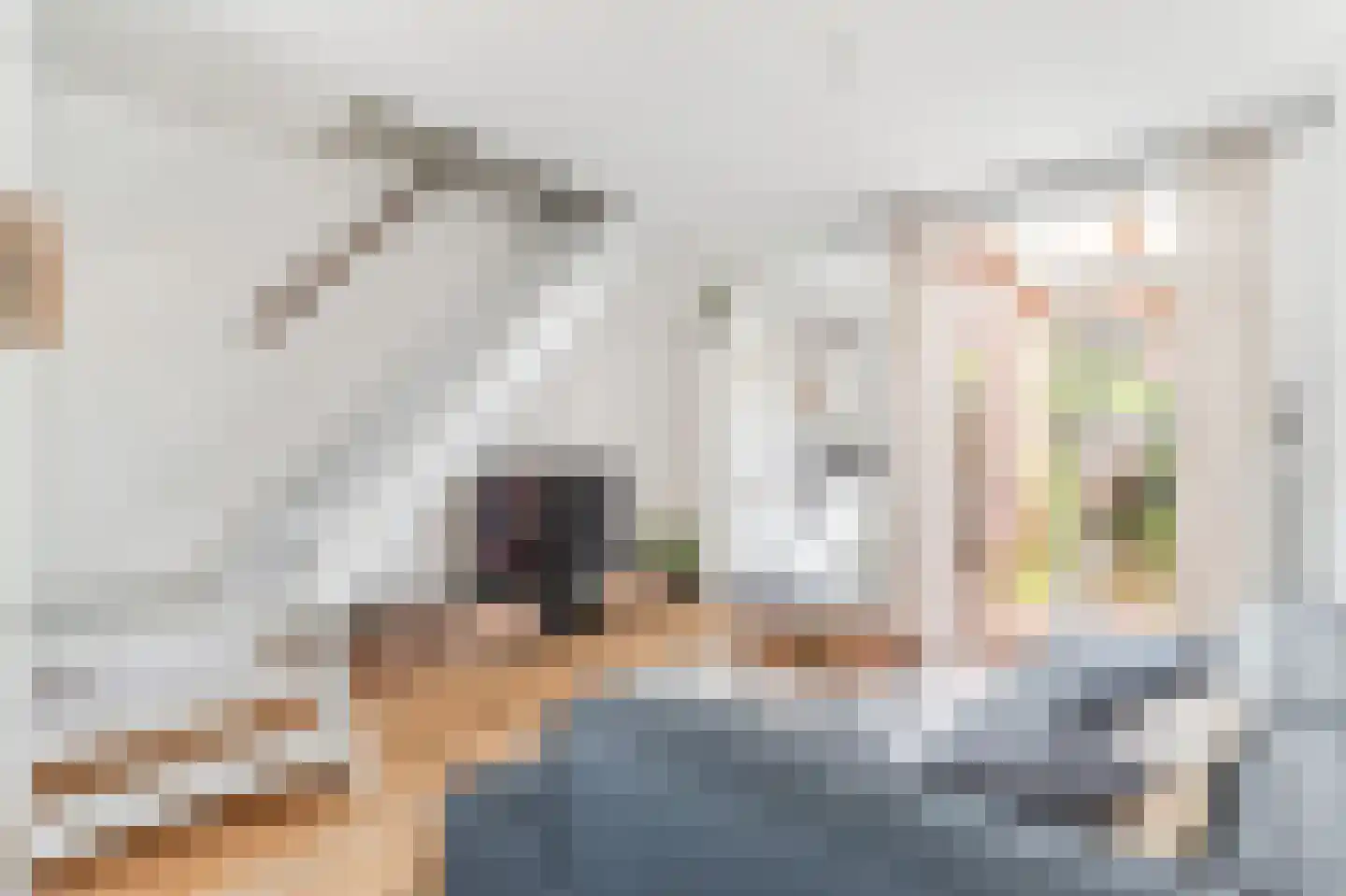 Bonistraat 18 Utrecht thumbnail 6