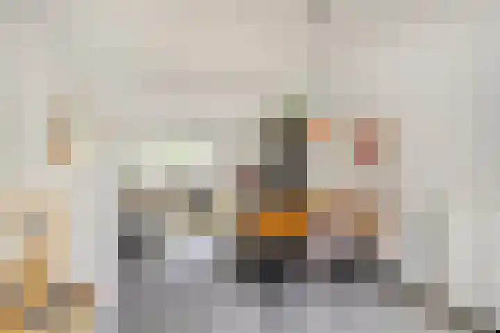 Bonistraat 8 Utrecht thumbnail 7