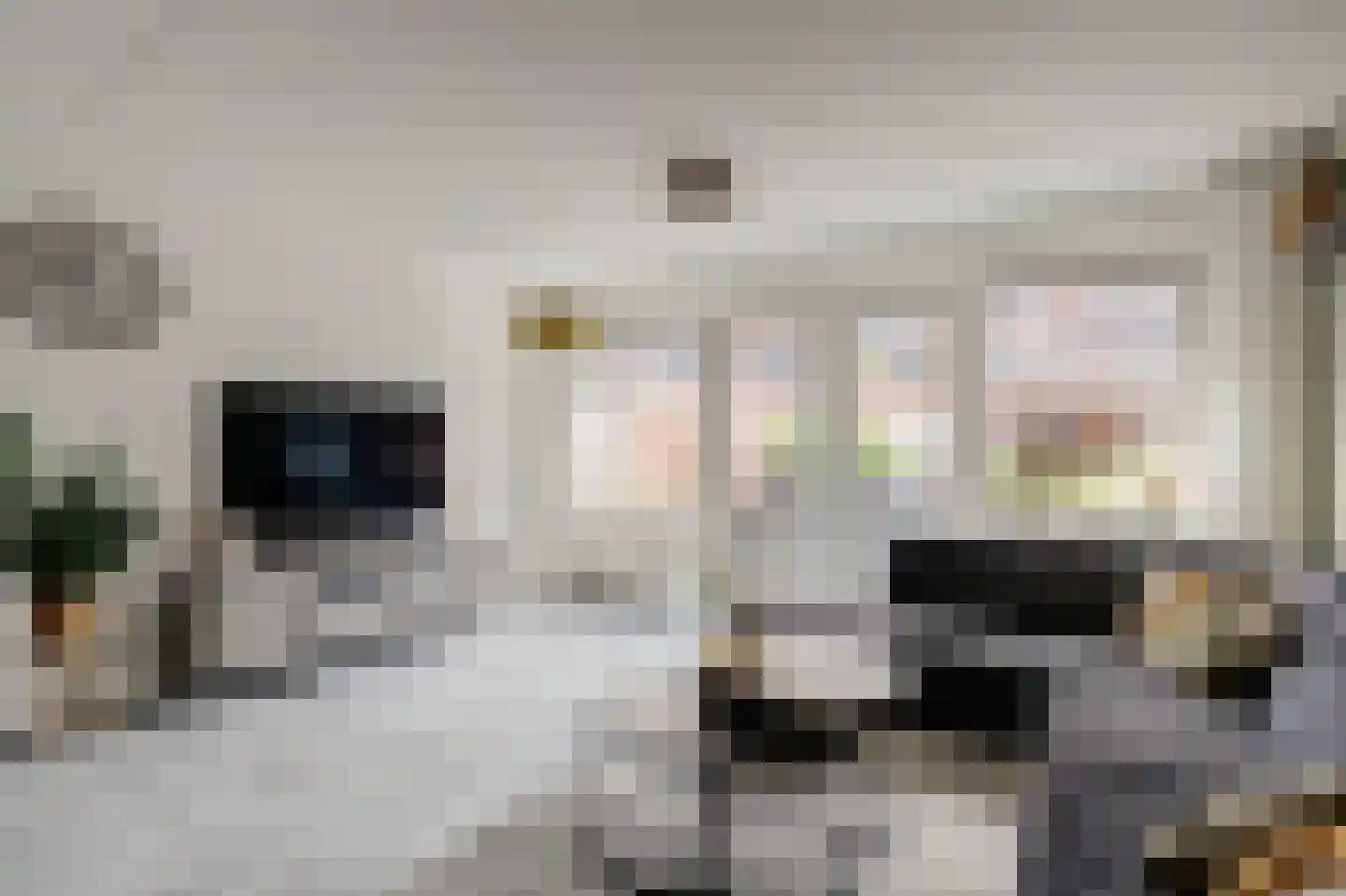 Bonkaarde 19 Hendrik-Ido-Ambacht thumbnail 14