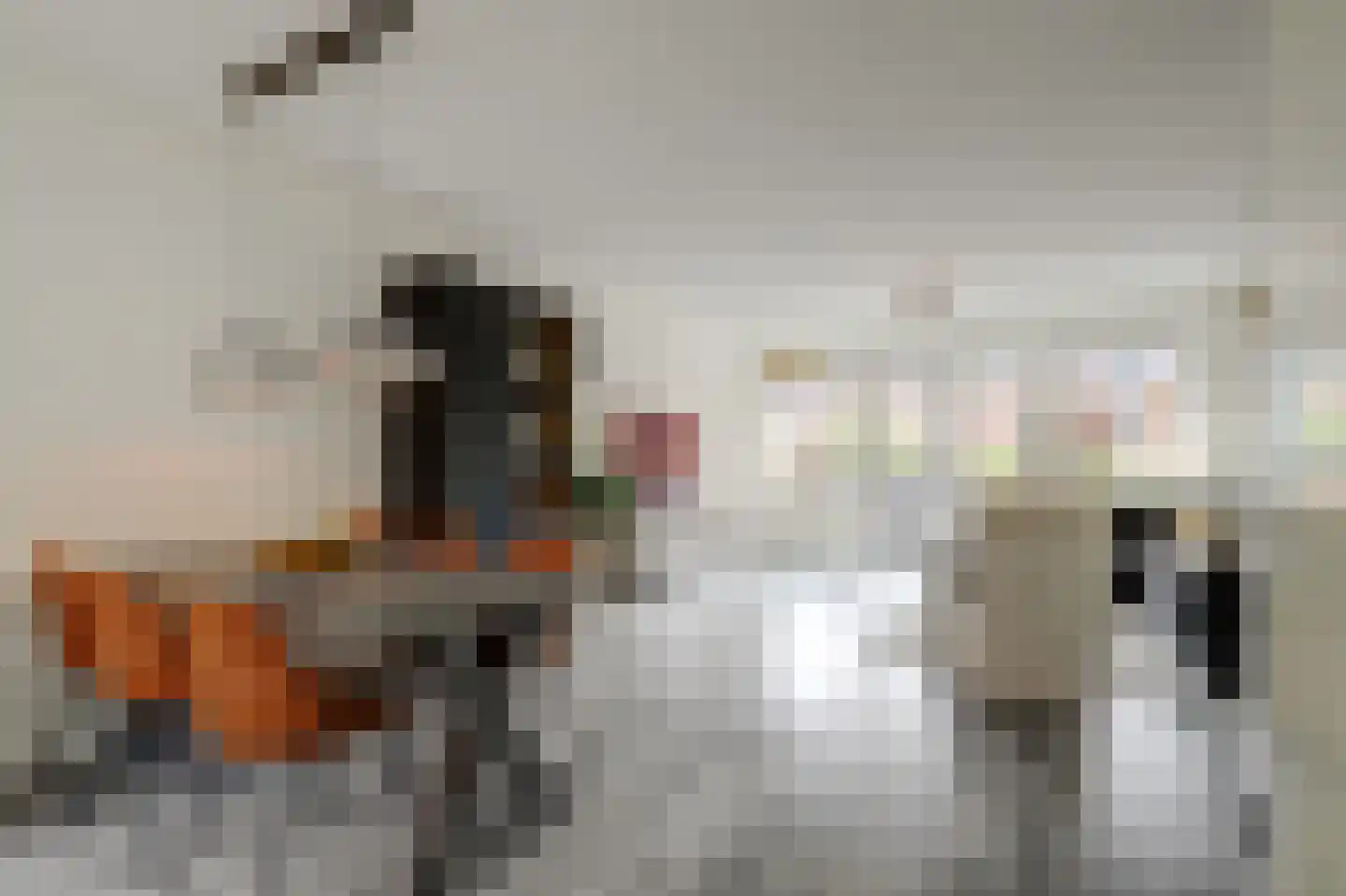 Bonkaarde 19 Hendrik-Ido-Ambacht thumbnail 18
