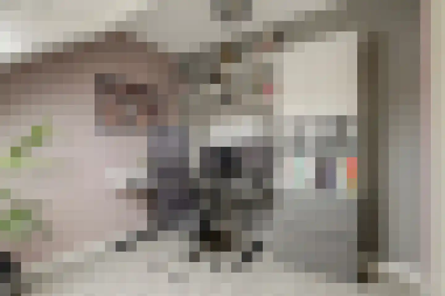 Bonkaarde 19 Hendrik-Ido-Ambacht thumbnail 35