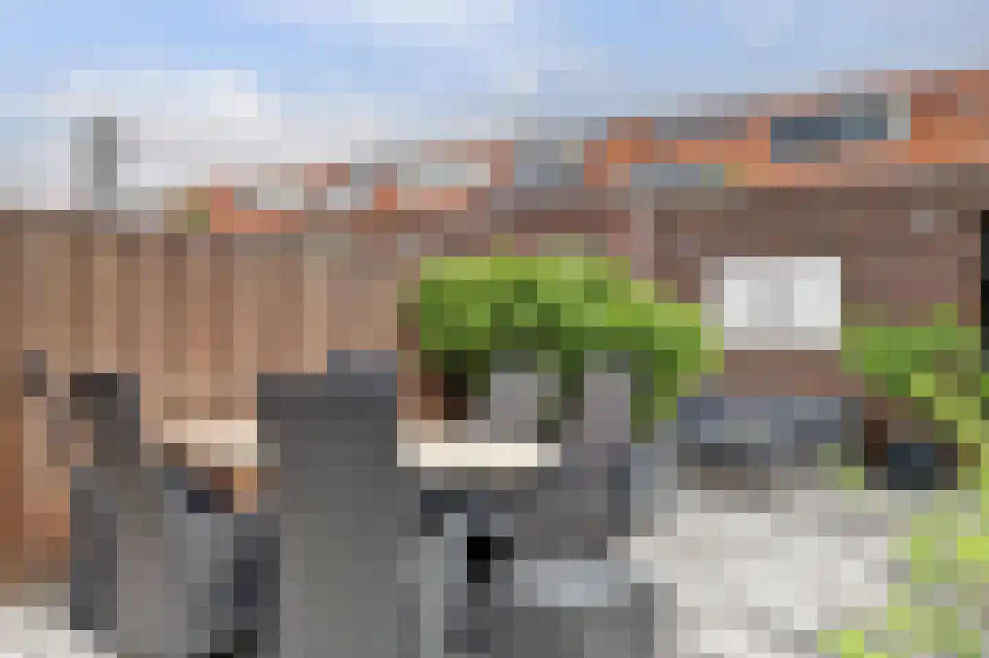 Bonkaarde 19 Hendrik-Ido-Ambacht thumbnail 39