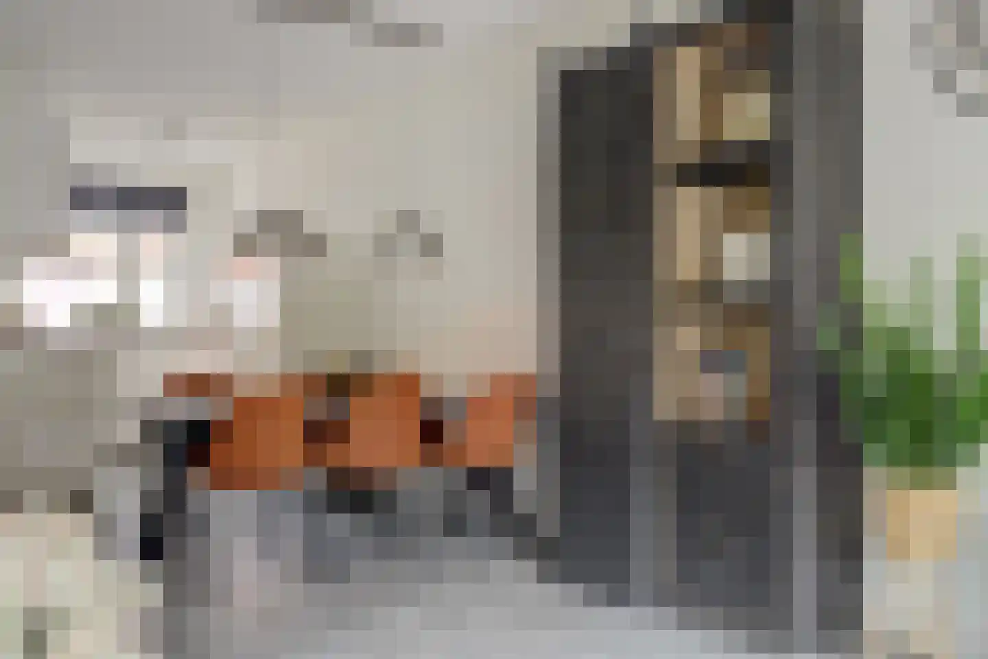 Bonkaarde 19 Hendrik-Ido-Ambacht thumbnail 4