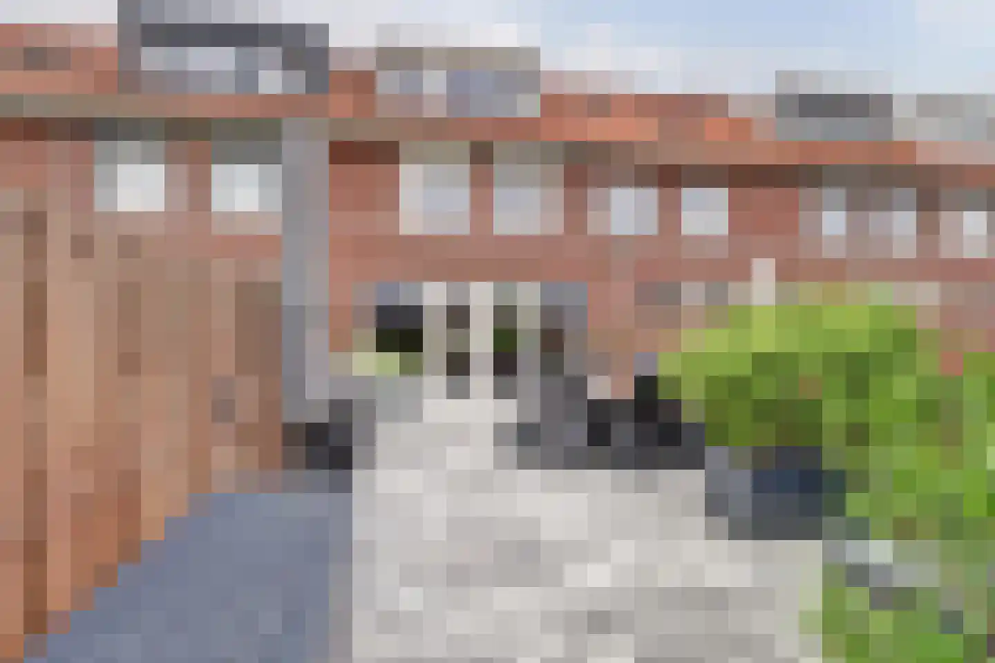 Bonkaarde 19 Hendrik-Ido-Ambacht thumbnail 41