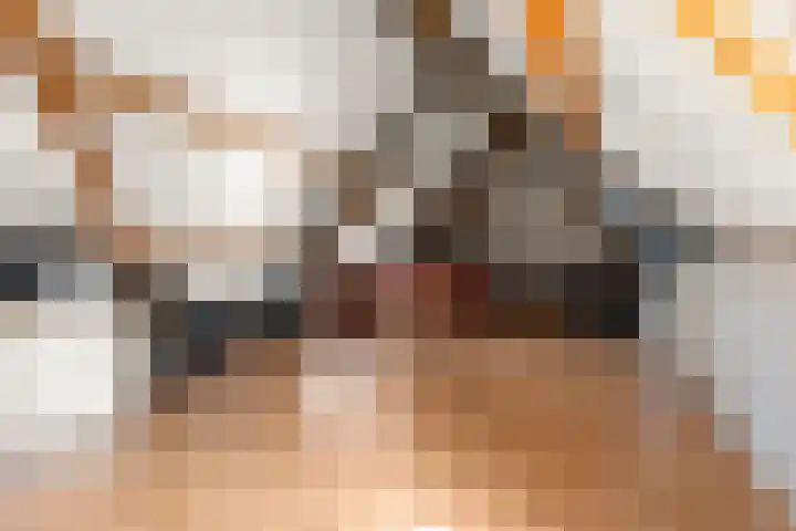 Bonkelaar 1 Ottersum thumbnail 22