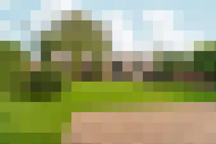 Bonkelaar 1 Ottersum thumbnail 26