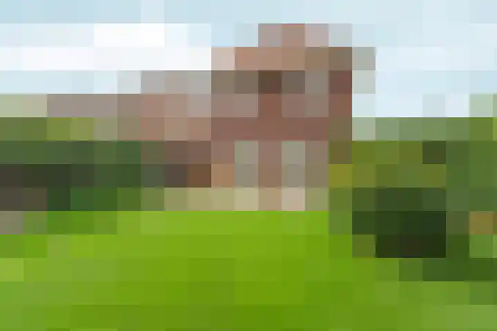 Bonkelaar 1 Ottersum thumbnail 28