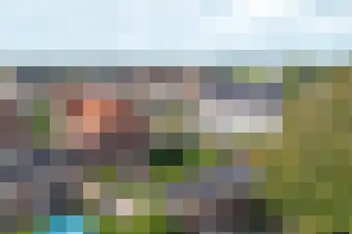 Bonkelaar 1 Ottersum thumbnail 29