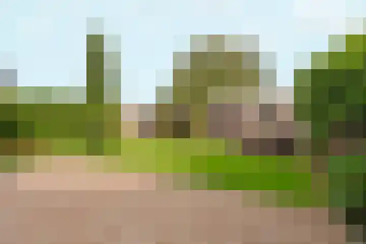 Bonkelaar 1 Ottersum thumbnail 4