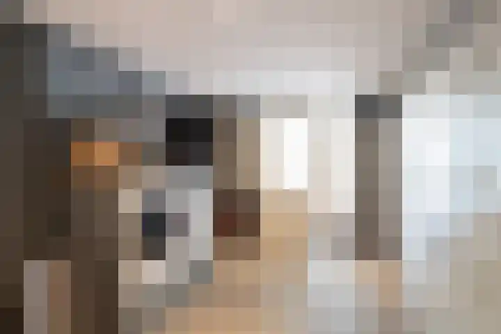 Bonkelaar 1 Smilde thumbnail 19
