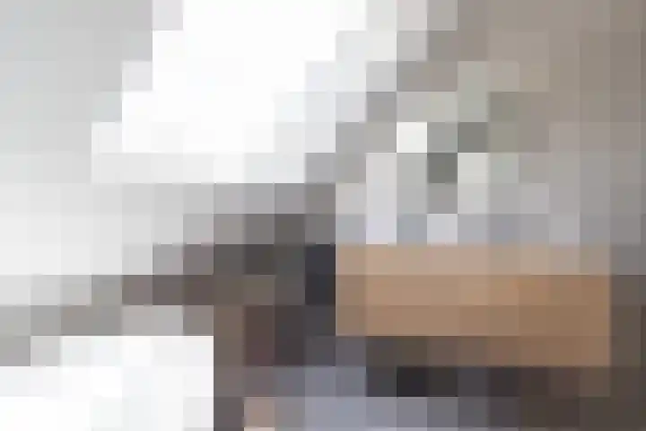 Bonkelaar 1 Smilde thumbnail 30