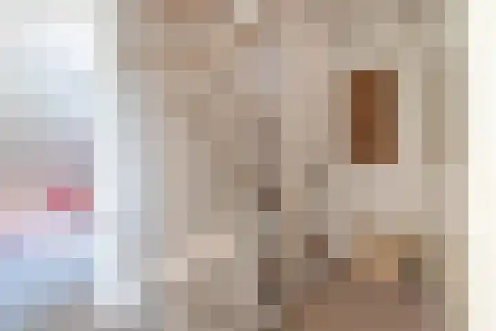 Bonkelaar 1 Smilde thumbnail 31