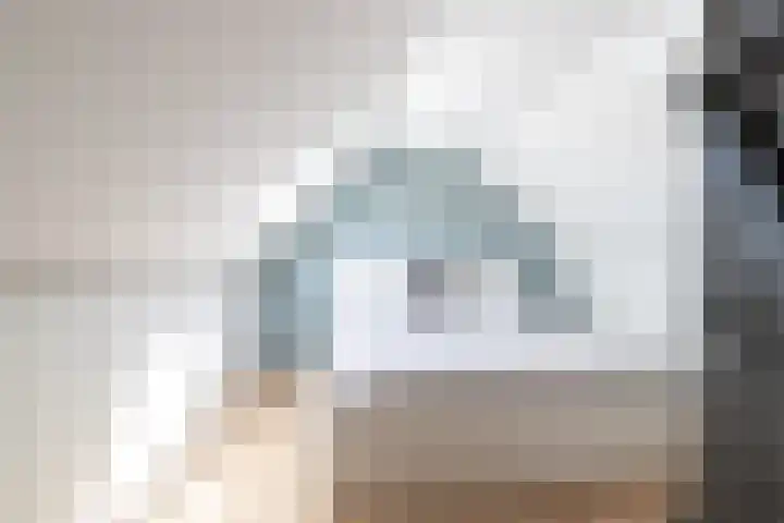 Bonkelaar 1 Smilde thumbnail 32