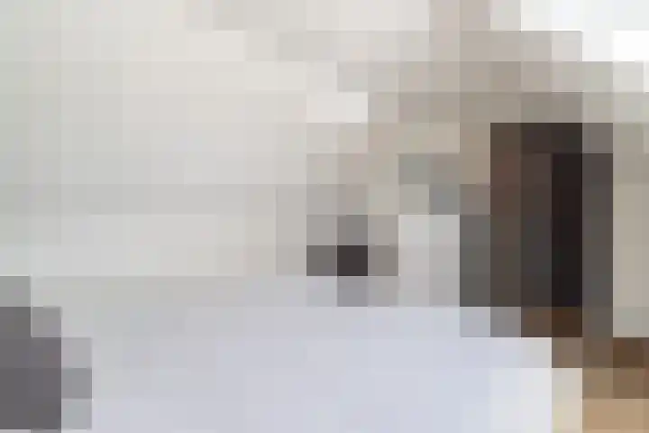 Bonkelaar 1 Smilde thumbnail 33