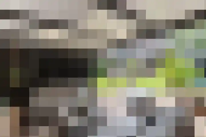 Bonkelaar 1 Smilde thumbnail 39