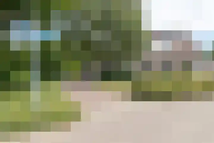 Bonkelaar 1 Smilde thumbnail 4