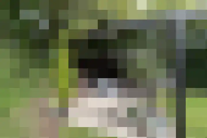 Bonkelaar 1 Smilde thumbnail 40