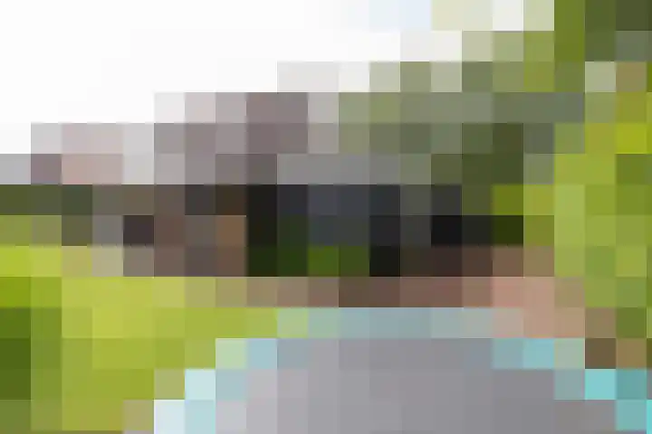 Bonkelaar 1 Smilde thumbnail 44