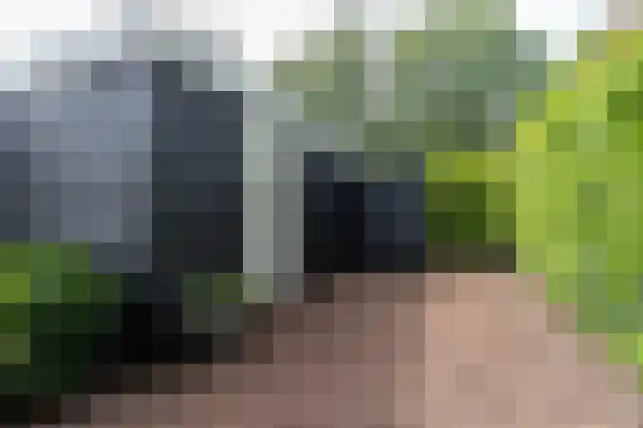 Bonkelaar 1 Smilde thumbnail 45