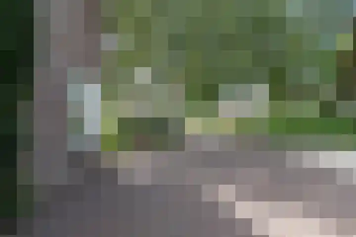 Bonkelaar 1 Smilde thumbnail 48