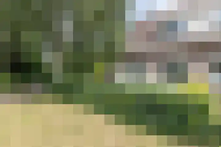 Bonkelaar 1 Smilde thumbnail 49