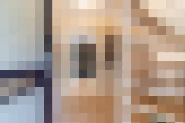 Bonkelaar 1 Smilde thumbnail 5