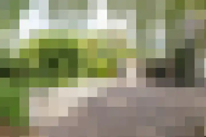 Bonkelaar 1 Smilde thumbnail 50
