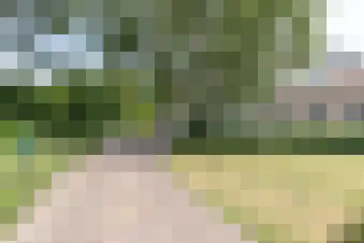 Bonkelaar 1 Smilde thumbnail 51