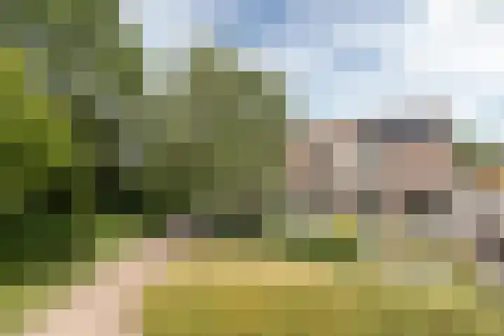 Bonkelaar 1 Smilde thumbnail 52