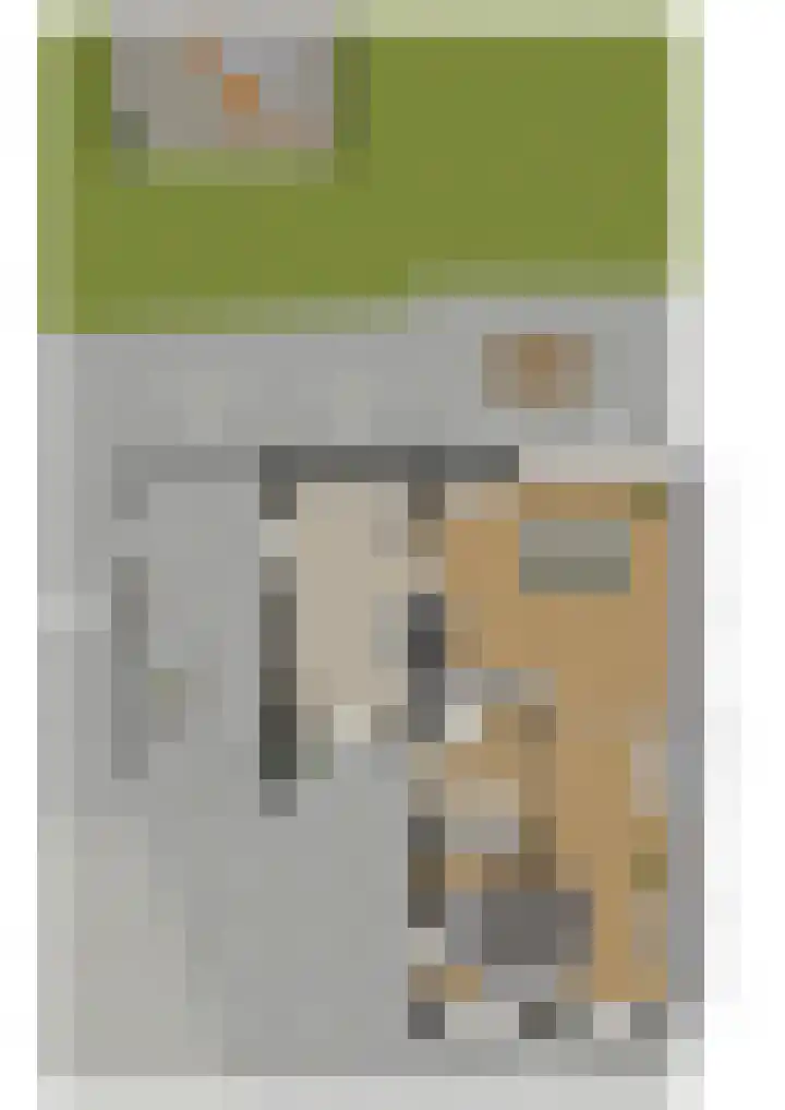 Bonkelaar 1 Smilde thumbnail 53