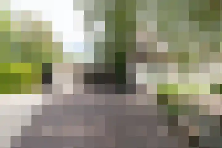 Bonkelaar 1 Smilde thumbnail 57