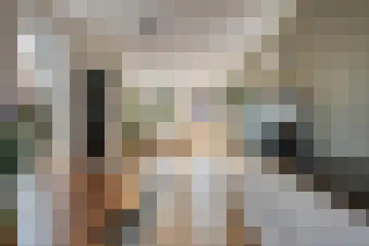 Bonkelaar 15 Zoeterwoude thumbnail 10