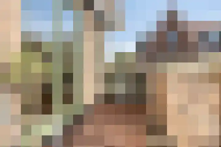 Bonkelaar 15 Zoeterwoude thumbnail 13
