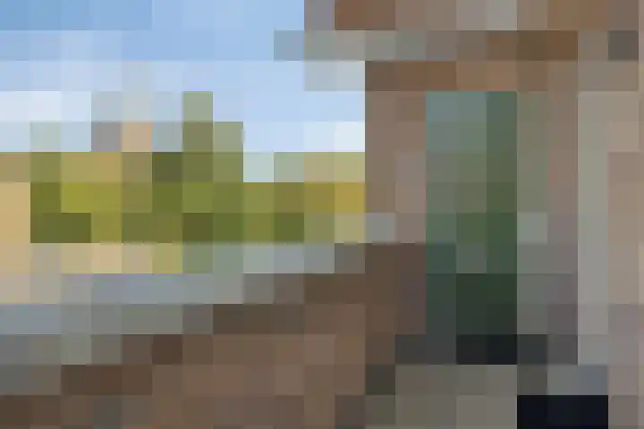 Bonkelaar 15 Zoeterwoude thumbnail 22