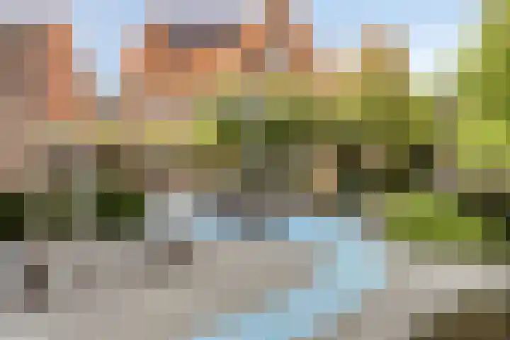 Bonkelaar 15 Zoeterwoude thumbnail 24