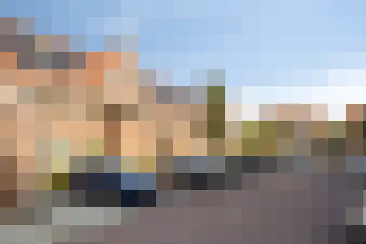Bonkelaar 15 Zoeterwoude thumbnail 25