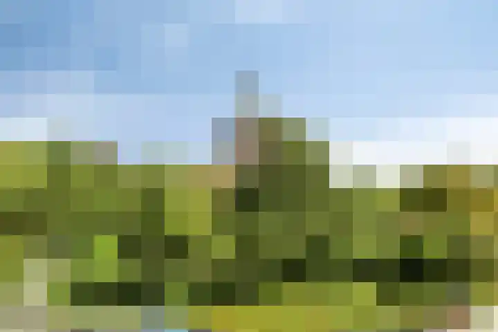 Bonkelaar 15 Zoeterwoude thumbnail 26