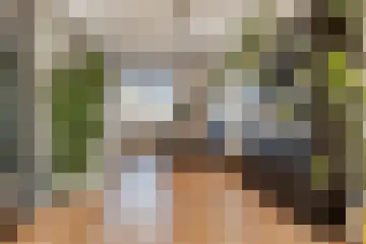 Bonkelaar 15 Zoeterwoude thumbnail 9