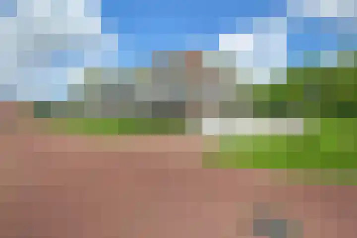 Bonkelaar 17 Heiloo thumbnail 23