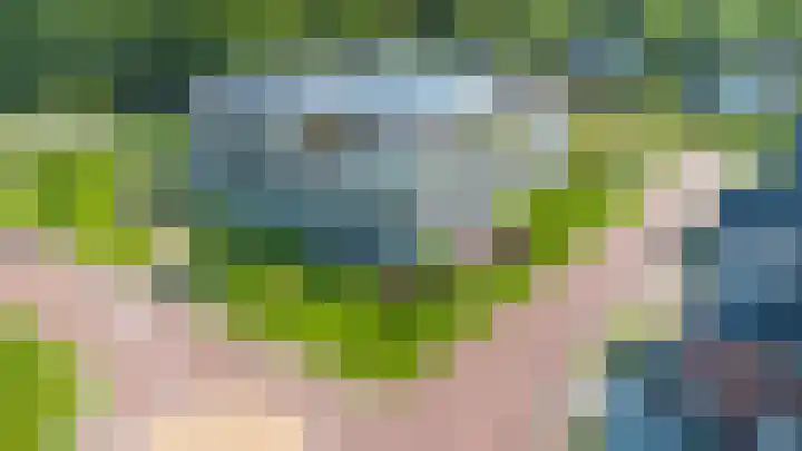 Bonkelaar 17 Heiloo thumbnail 24