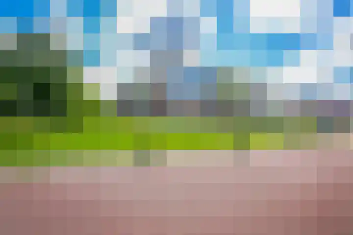 Bonkelaar 17 Heiloo thumbnail 25