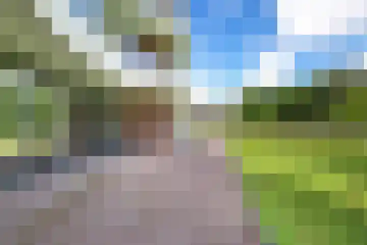 Bonkelaar 17 Heiloo thumbnail 26