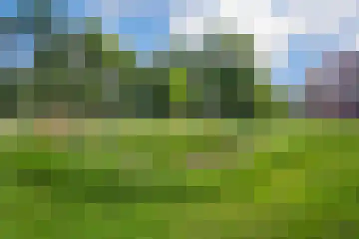 Bonkelaar 17 Heiloo thumbnail 28