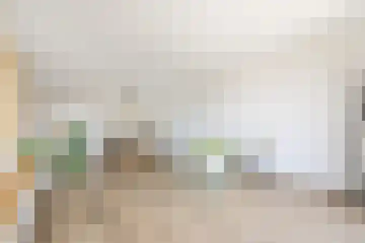 Bonkelaar 17 Heiloo thumbnail 5