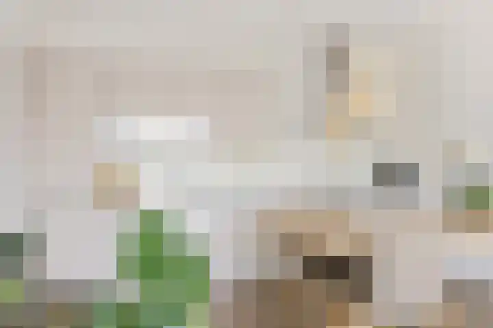 Bonkelaar 17 Heiloo thumbnail 6