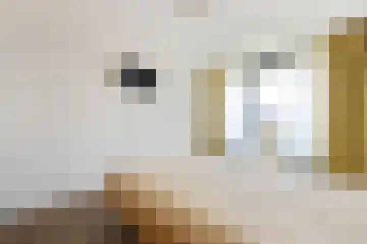 Bonkelaar 17 Heiloo thumbnail 9