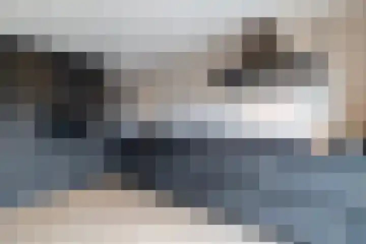 Bonkelaar 17 Smilde thumbnail 13