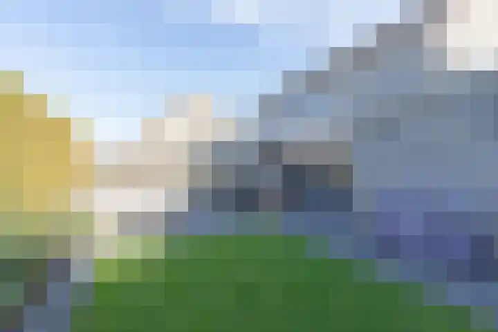 Bonkelaar 17 Smilde thumbnail 33