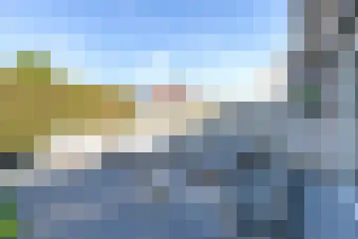 Bonkelaar 17 Smilde thumbnail 34